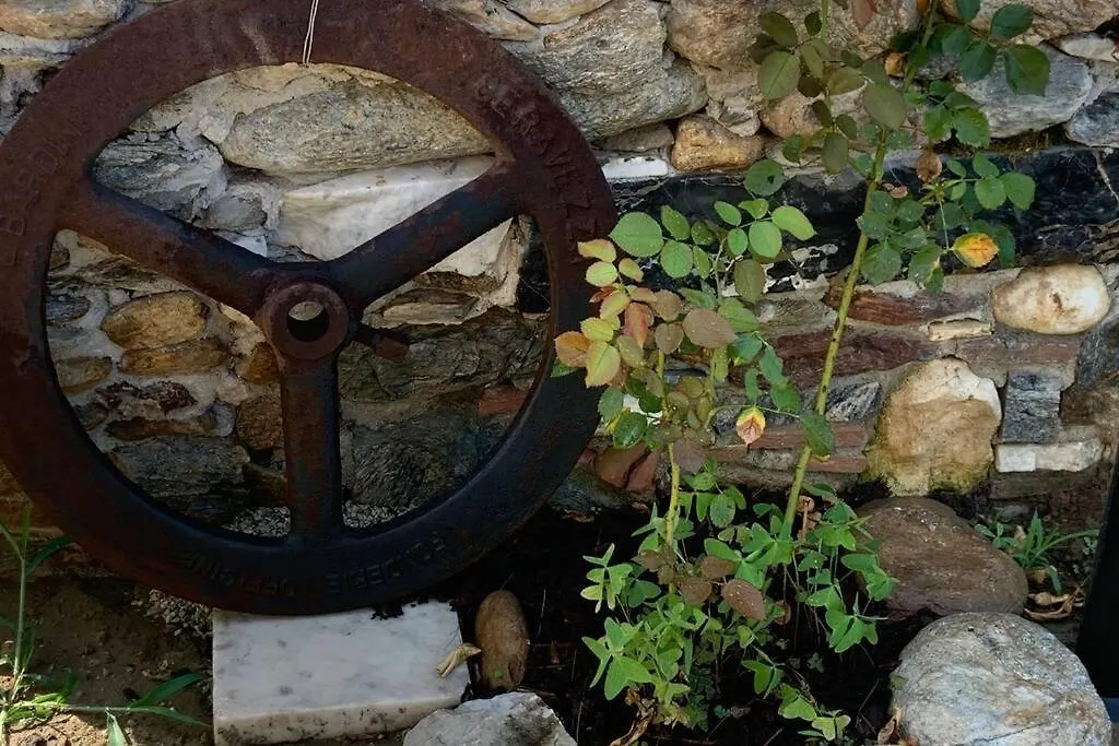 Antica Casa Nel Borgo Apartment Pietrasanta Italy
